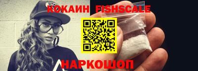 индика Можга