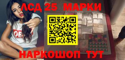 индика Можга