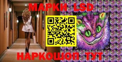 индика Можга