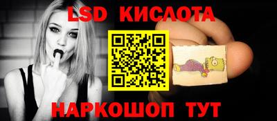 индика Можга