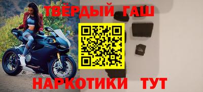 индика Можга